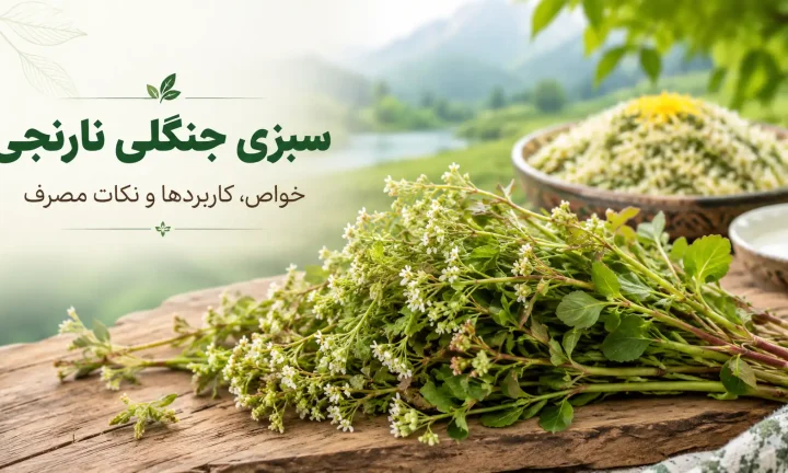 سبزی جنگلی نارنجی چیست